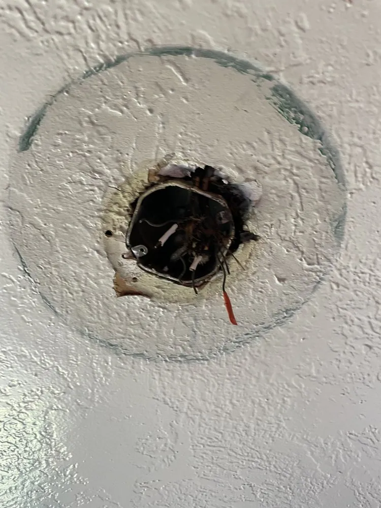 Slide of Joie Electric