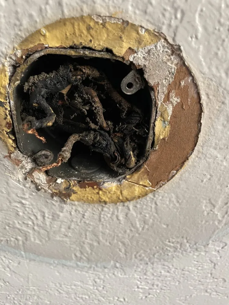 Slide of Joie Electric