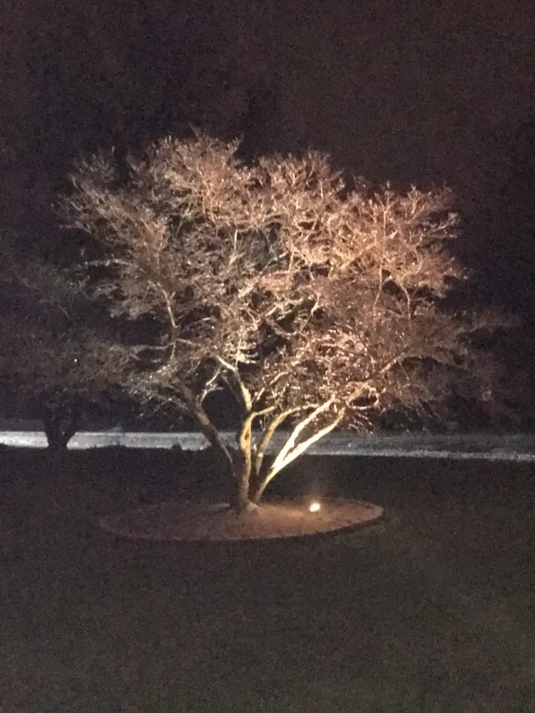 Slide of Jolt Electrical Services