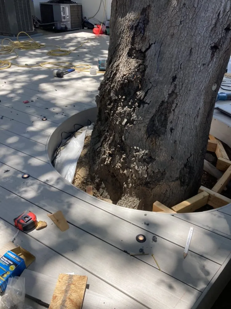 Slide of Jonathan Electric