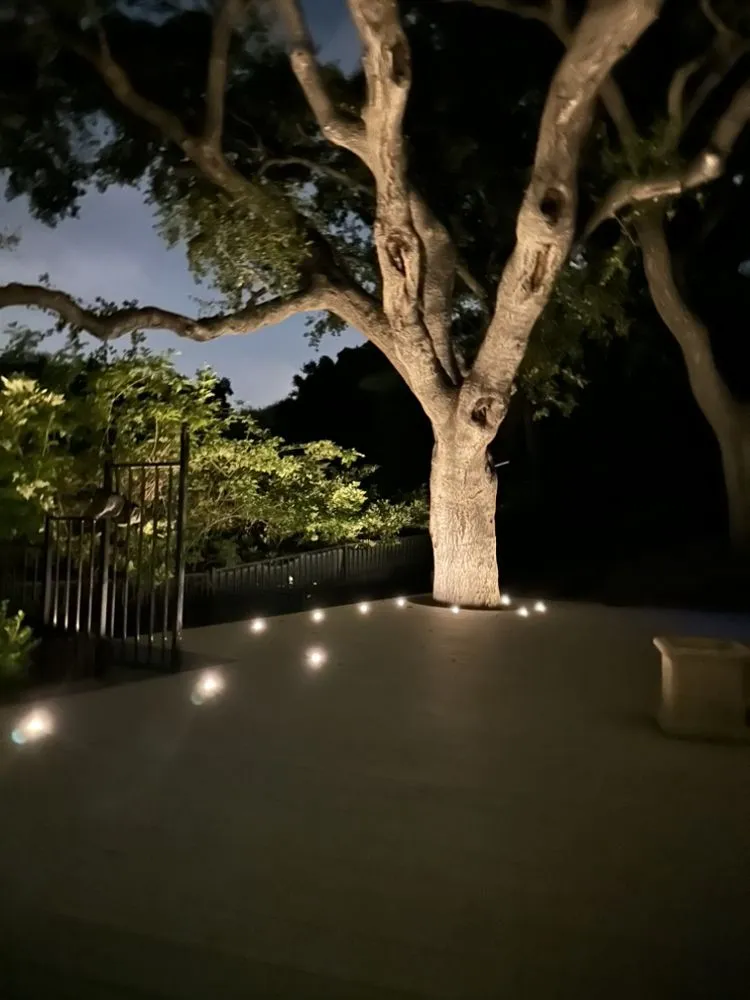 Slide of Jonathan Electric