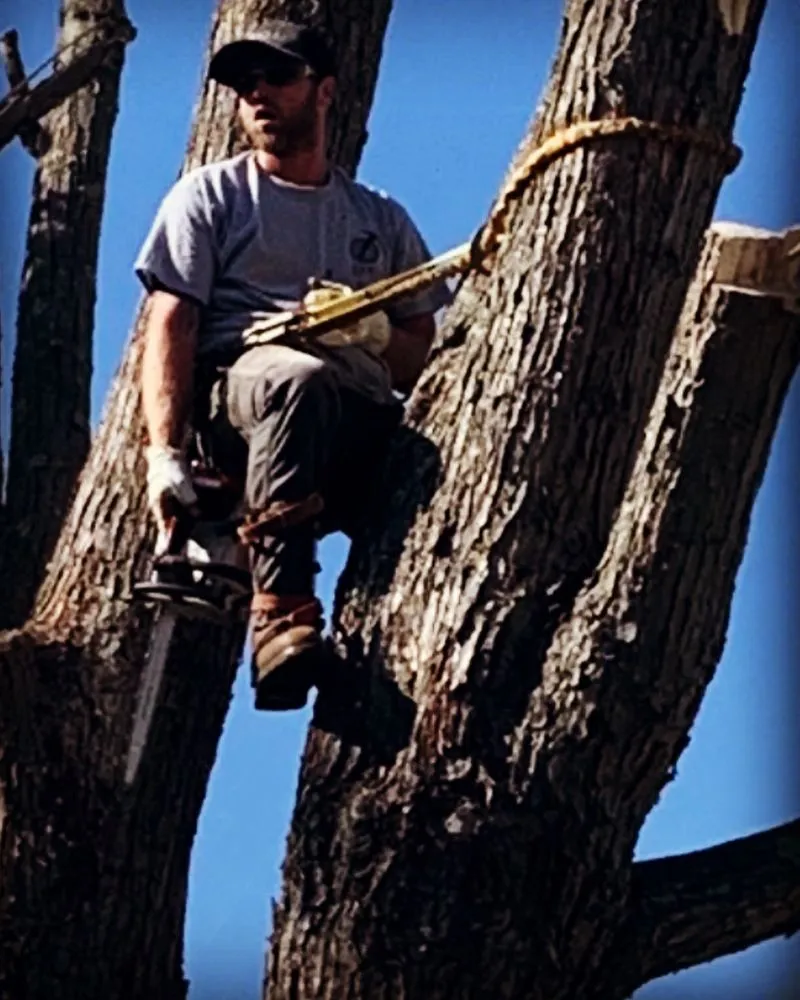 Expert wiring installation service in ,  - Jones Unique Contracting