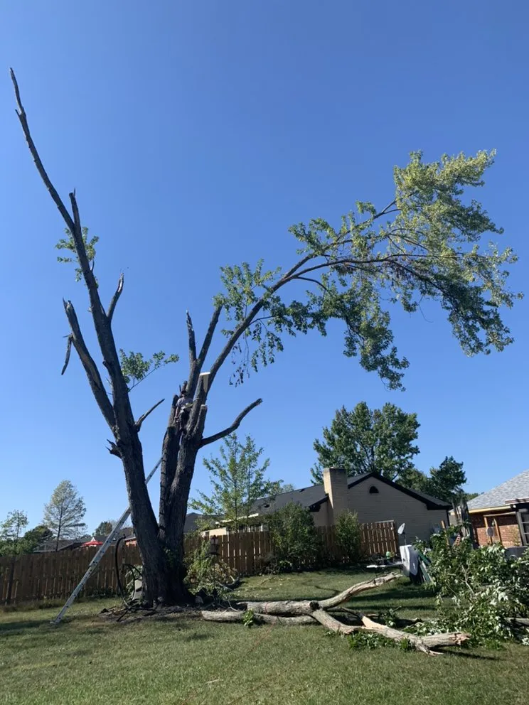 Trusted electrical repair service in ,  - Jones Unique Contracting