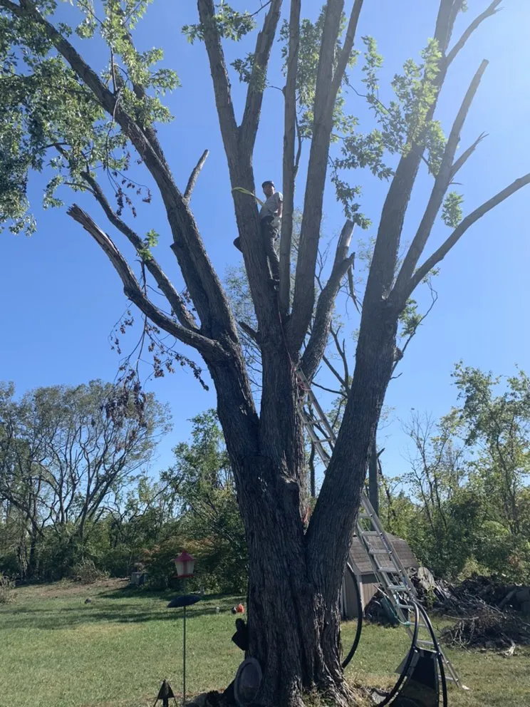 Emergency electrician providing lighting installation in , 