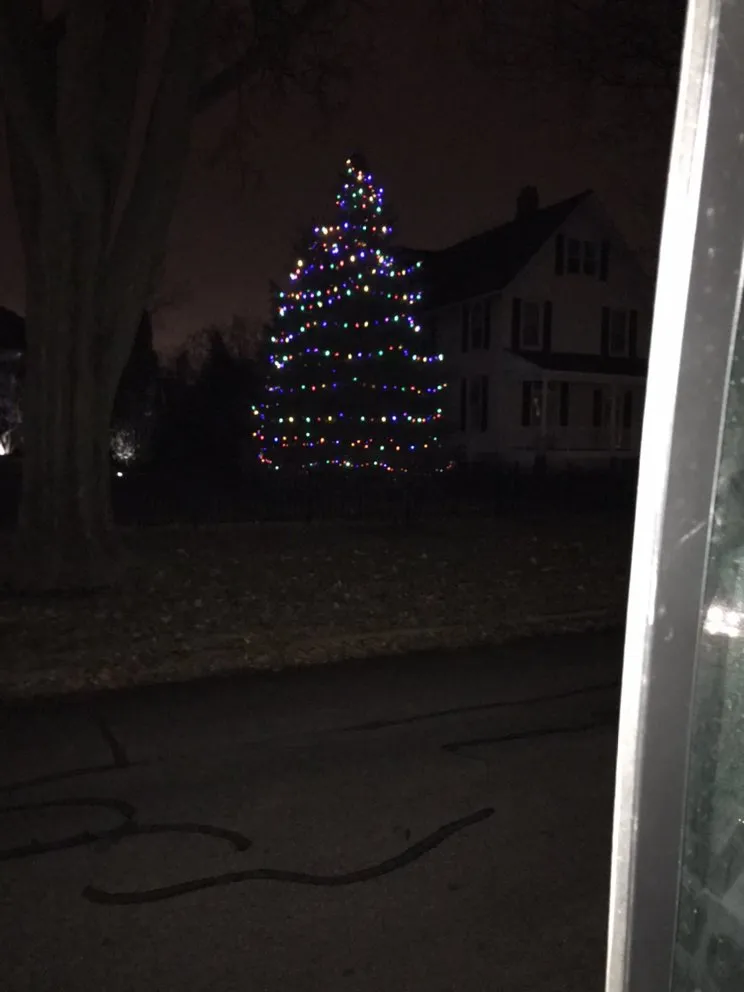 Slide of Jose Moonlight