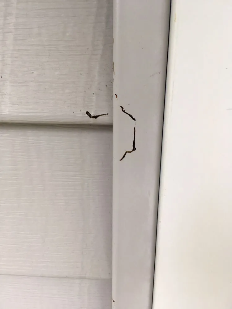 Slide of Joseph Warren Electrical