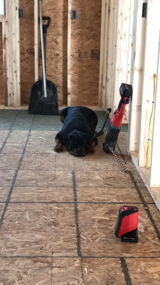 Slide of Josh Hernandez Electrical