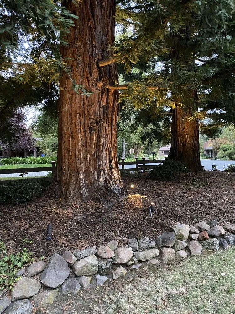 Slide of Jp Electric