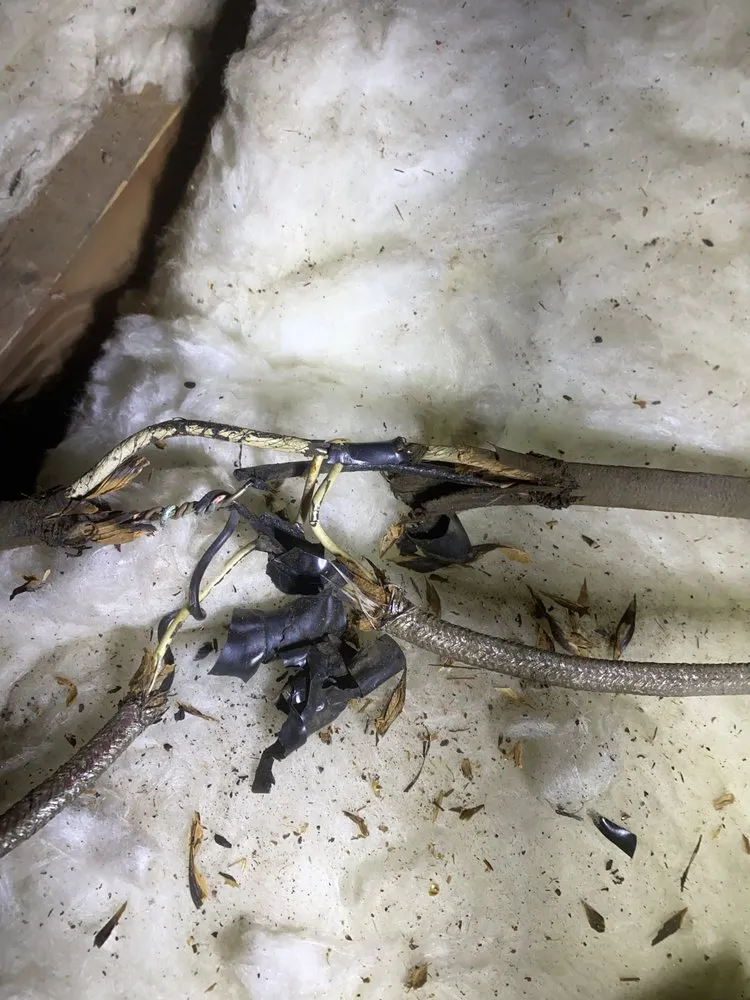 Reliable panel upgrade experts serving Winston-Salem, NC - JR Electric