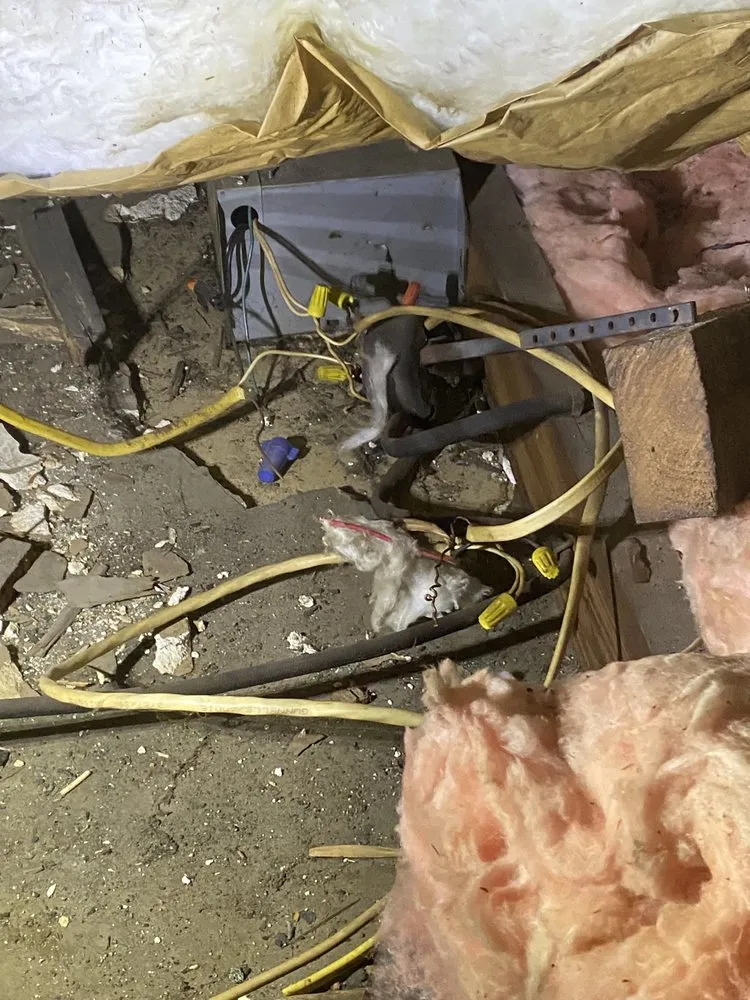 Emergency electrician providing panel upgrade in Winston-Salem, NC - JR Electric