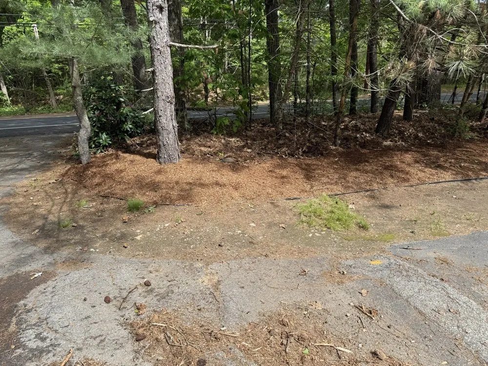 Certified emergency electrical service in ,  by JR Home and Property Maintenance