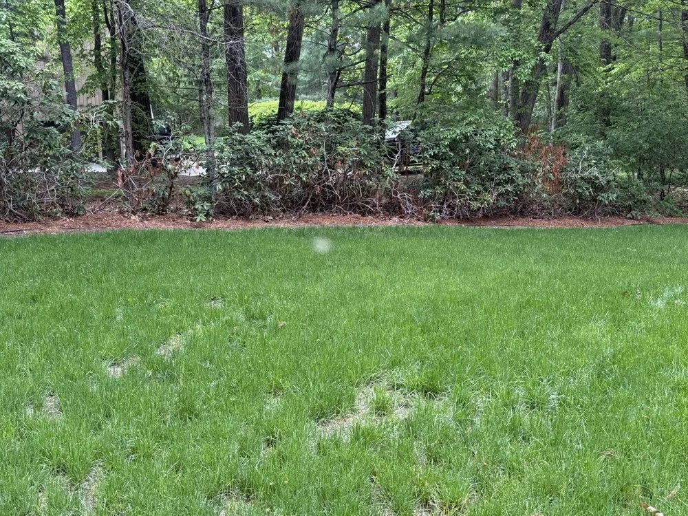 Trusted electrical repair in ,  by JR Home and Property Maintenance