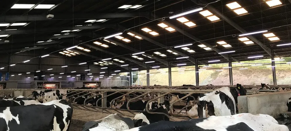 Slide of JRM Electrical Company