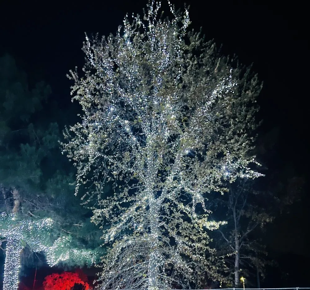 Slide of JRZ Electric