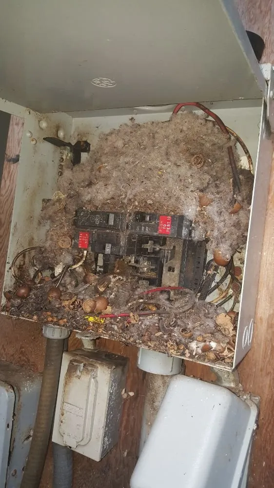 Slide of J.S. Electrical