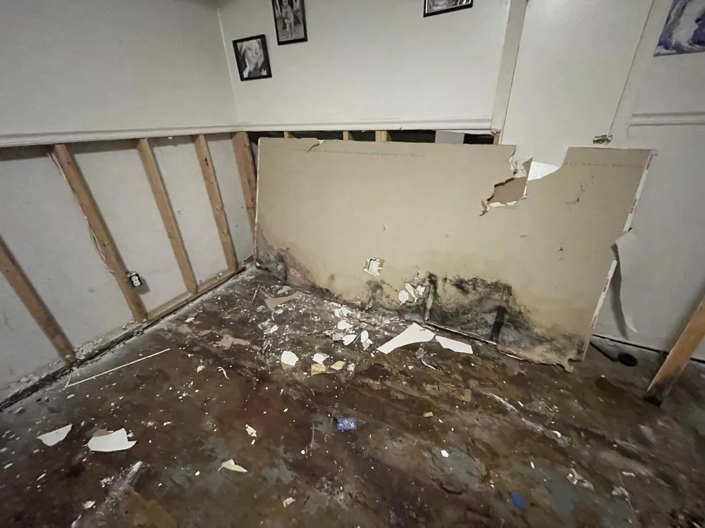 Professional electrical service for homes in circuit breaker repair,  by 