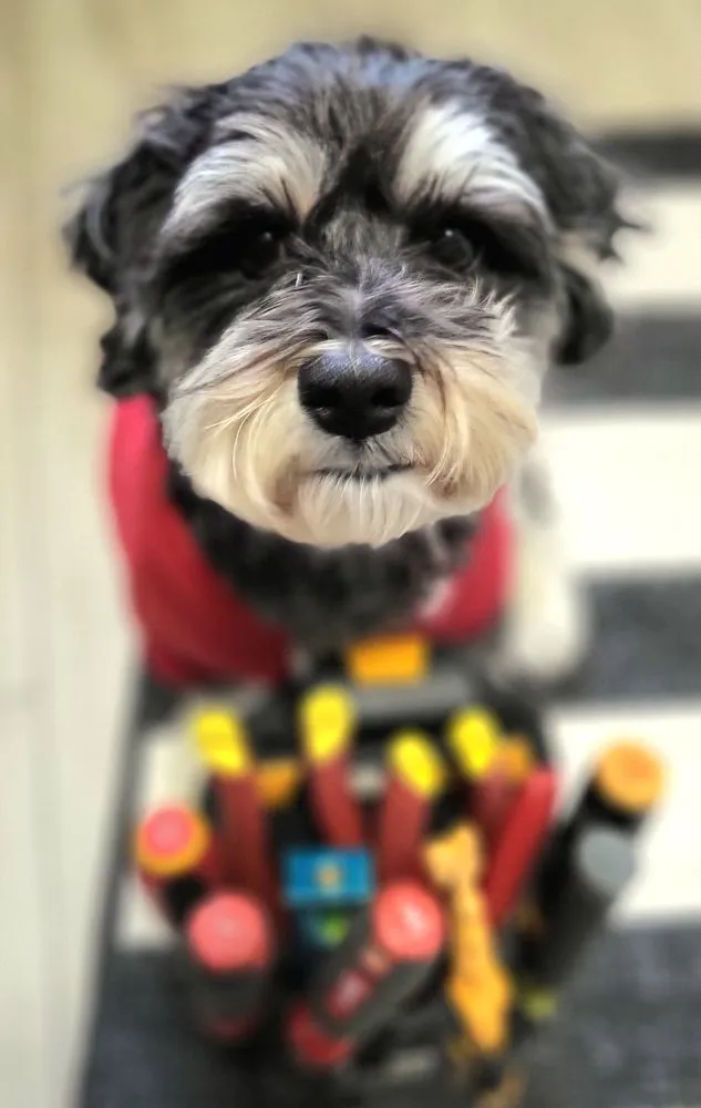 Trusted circuit breaker repair in ,  by JST Outlets