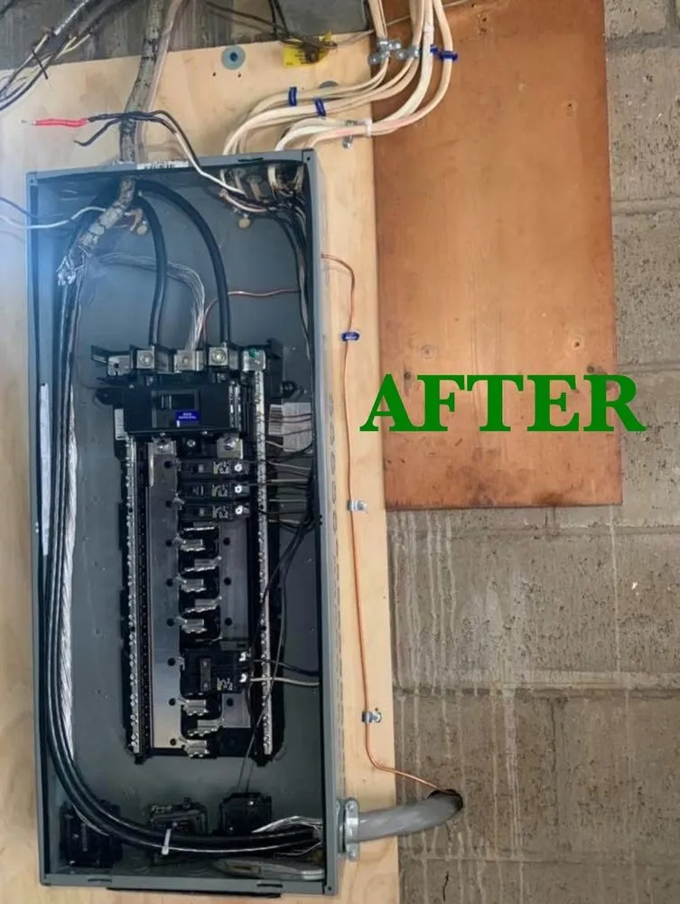 Professional electrical service for homes in outlet and switch repair,  by 