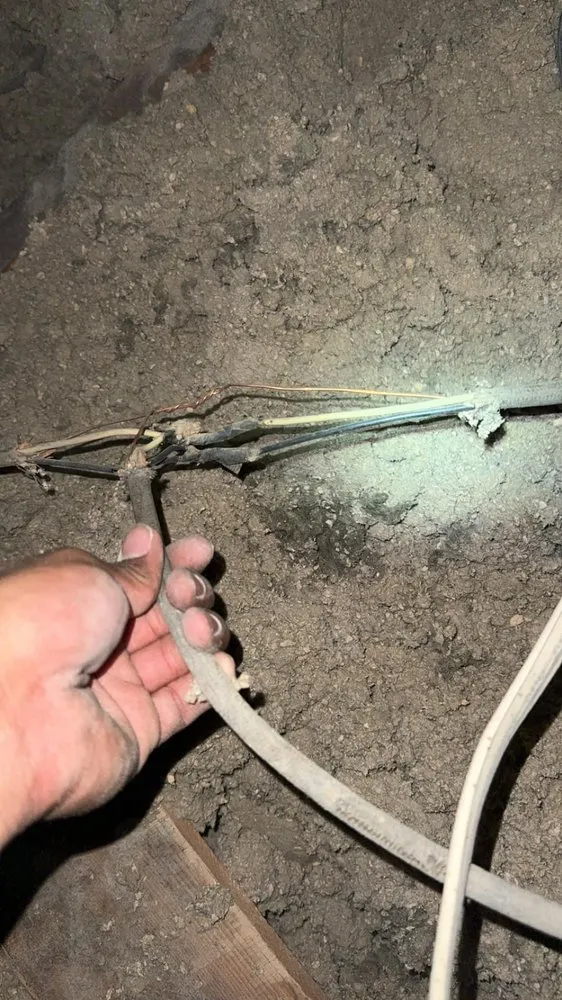 Slide of Juarez Electric Works