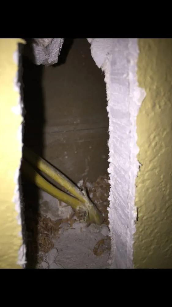 Slide of Just Electric