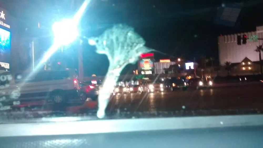 Slide of Justin Time