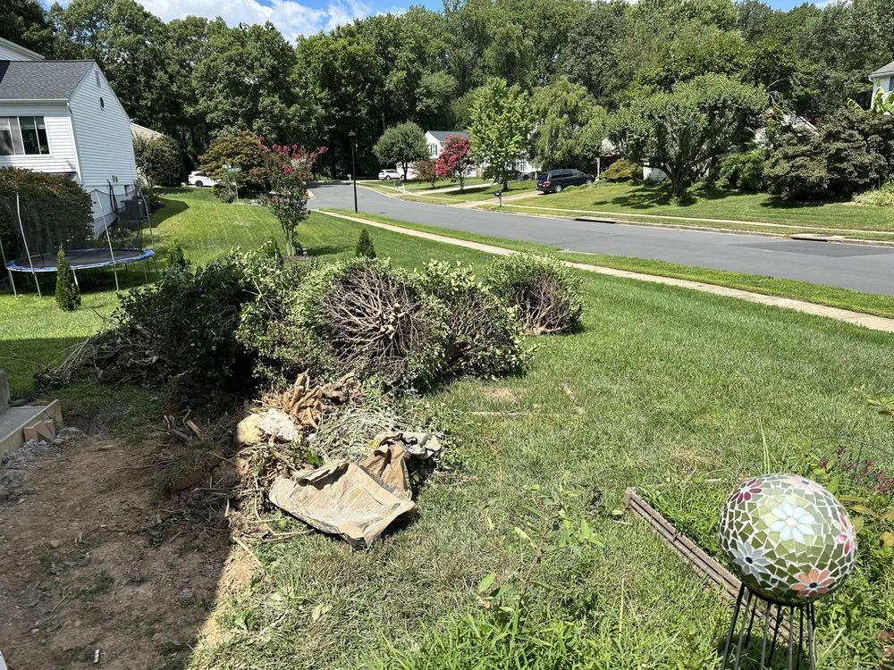 Slide of JVE General Expert Renovations