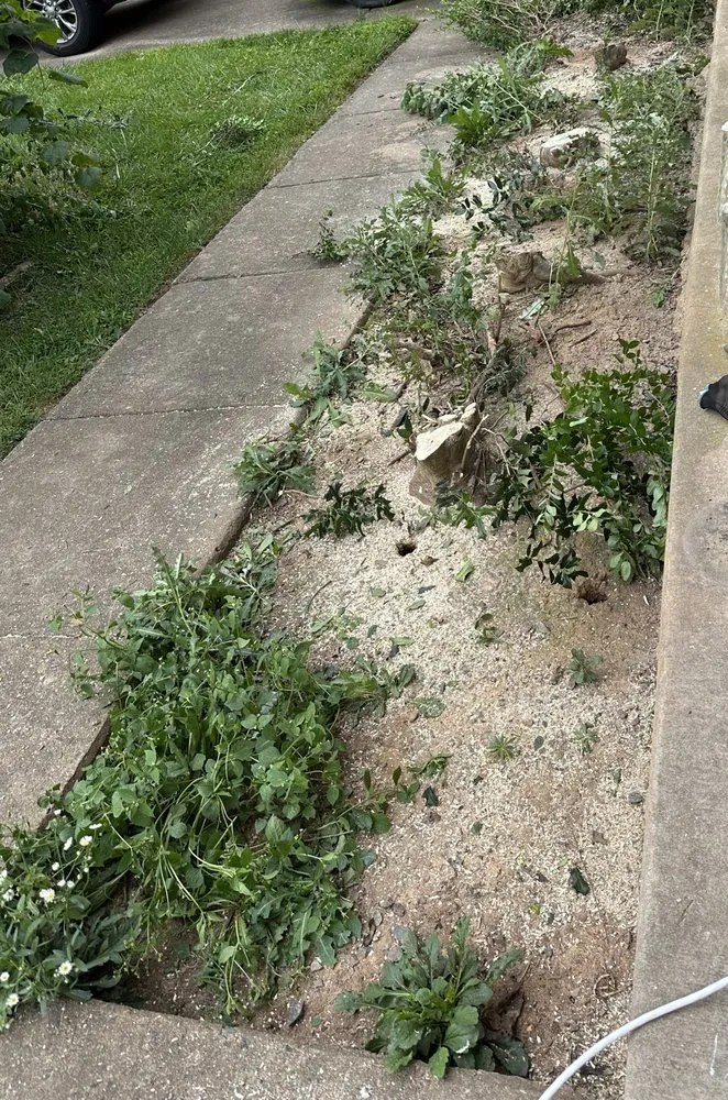 Slide of JVE General Expert Renovations