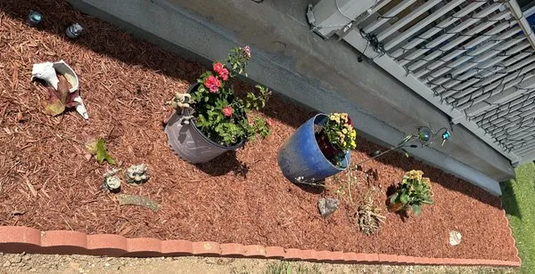 JVE General Expert Renovations