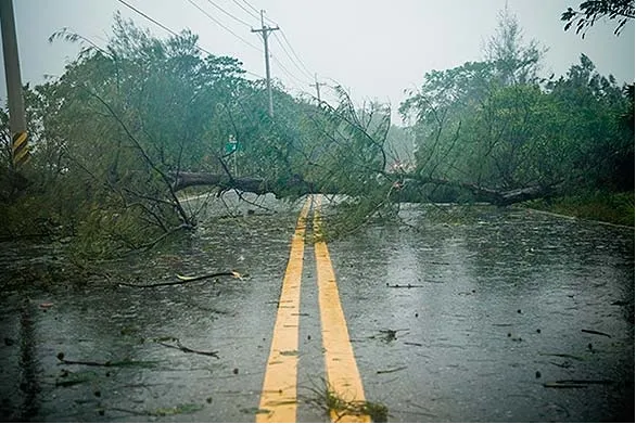 Slide of JW Didado Electric