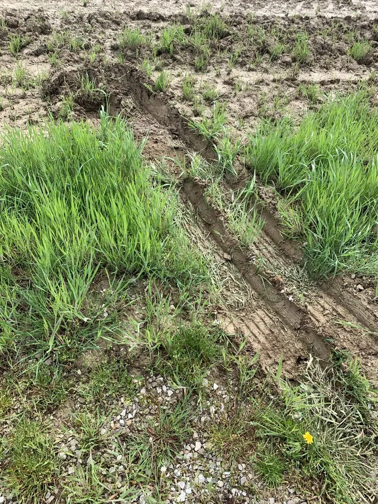 Slide of JW Didado Electric