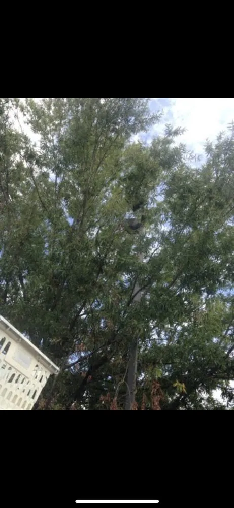 Slide of Jwb Electric