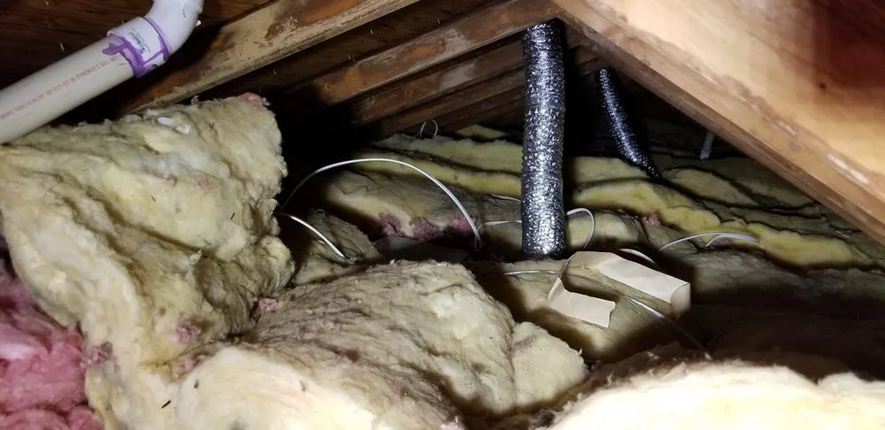 Slide of Jz Painting Design