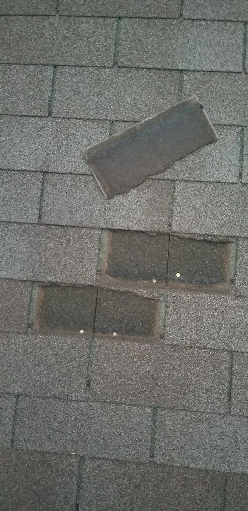 Slide of Jz Painting Design