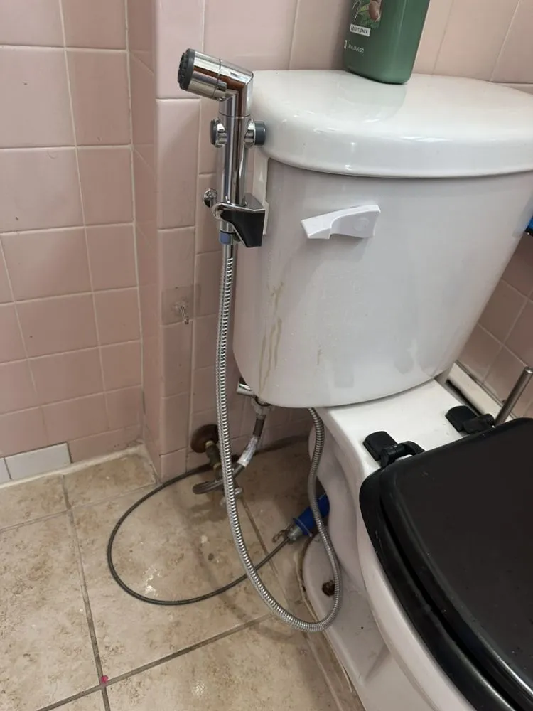 Slide of Kahlon Formation