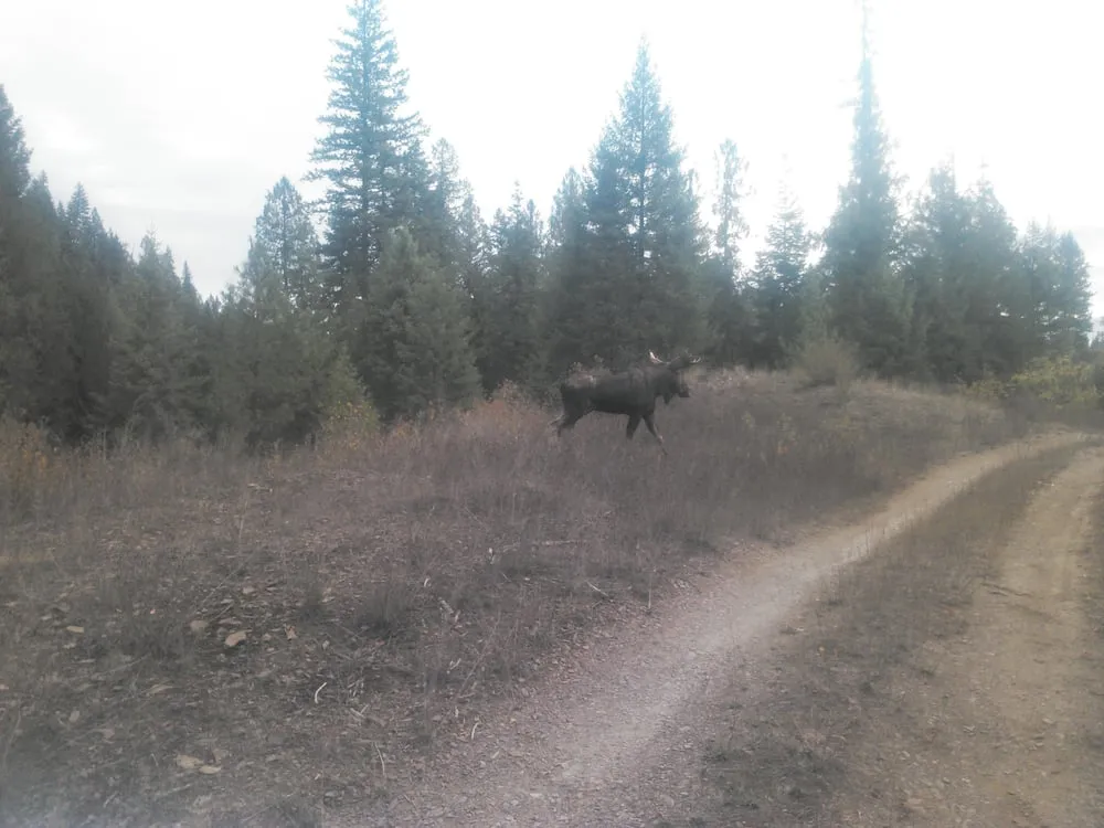 Slide of Kajun Electric