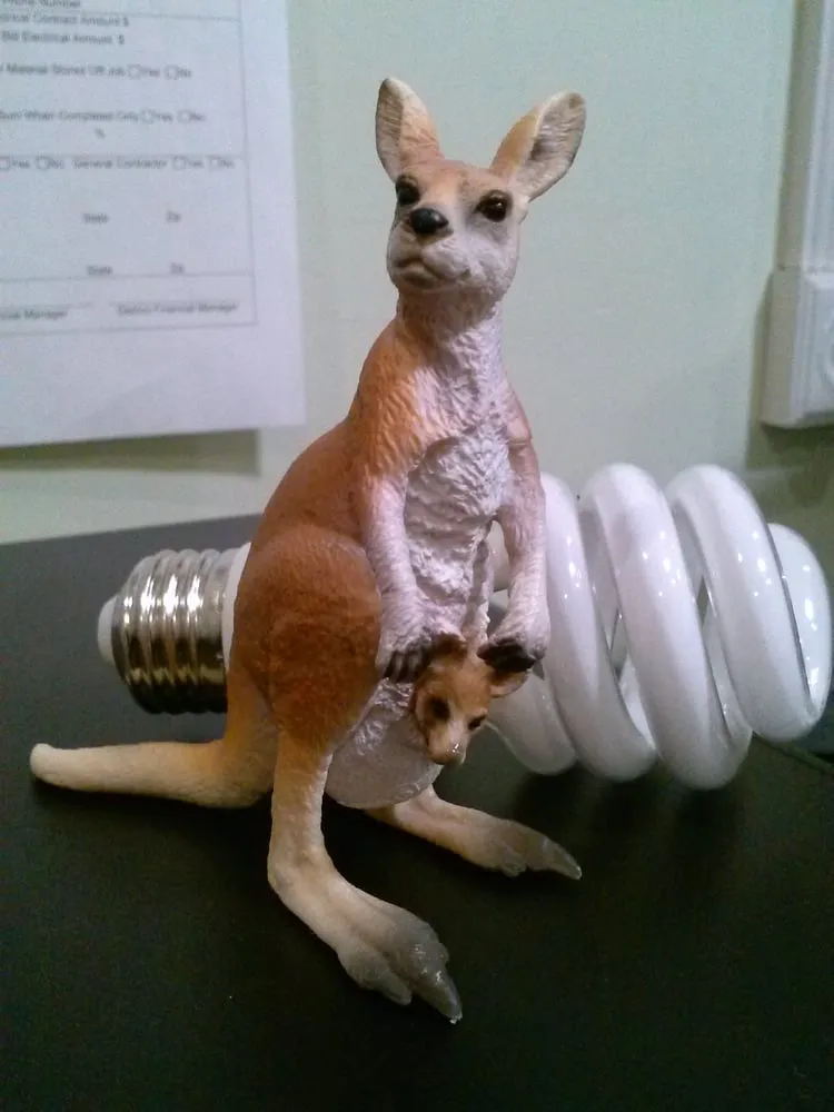 Slide of Kangaroo Electric