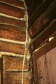 Slide of Kasanovich Electric