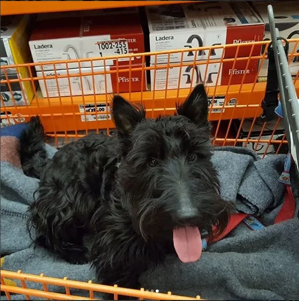 Slide of Kauffman Electric