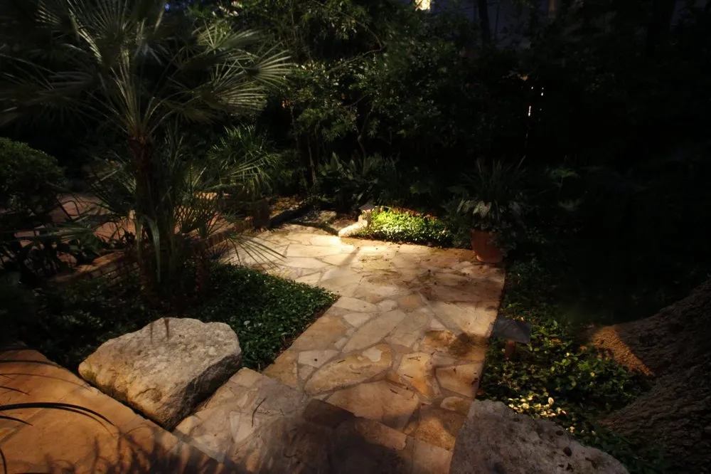 Slide of Kelly Francis Illumination