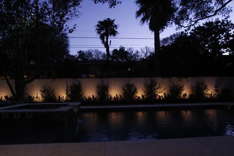 Slide of Kelly Francis Illumination