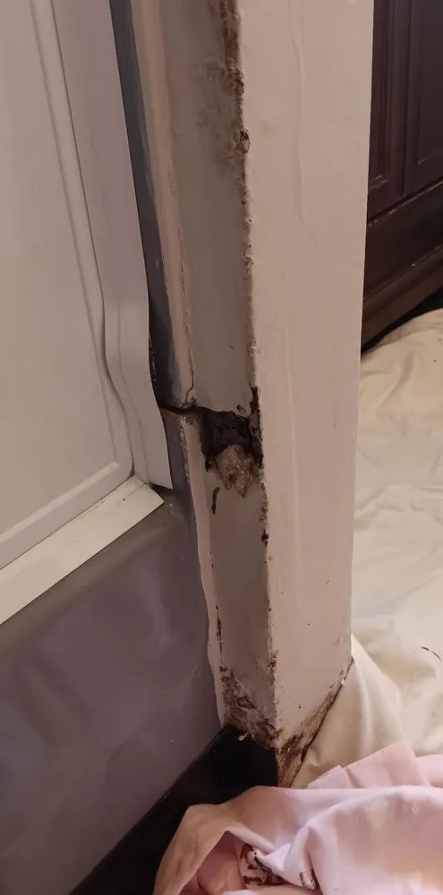 Trusted emergency electrical service service in Wilkes-Barre, PA - KG Handyman Services