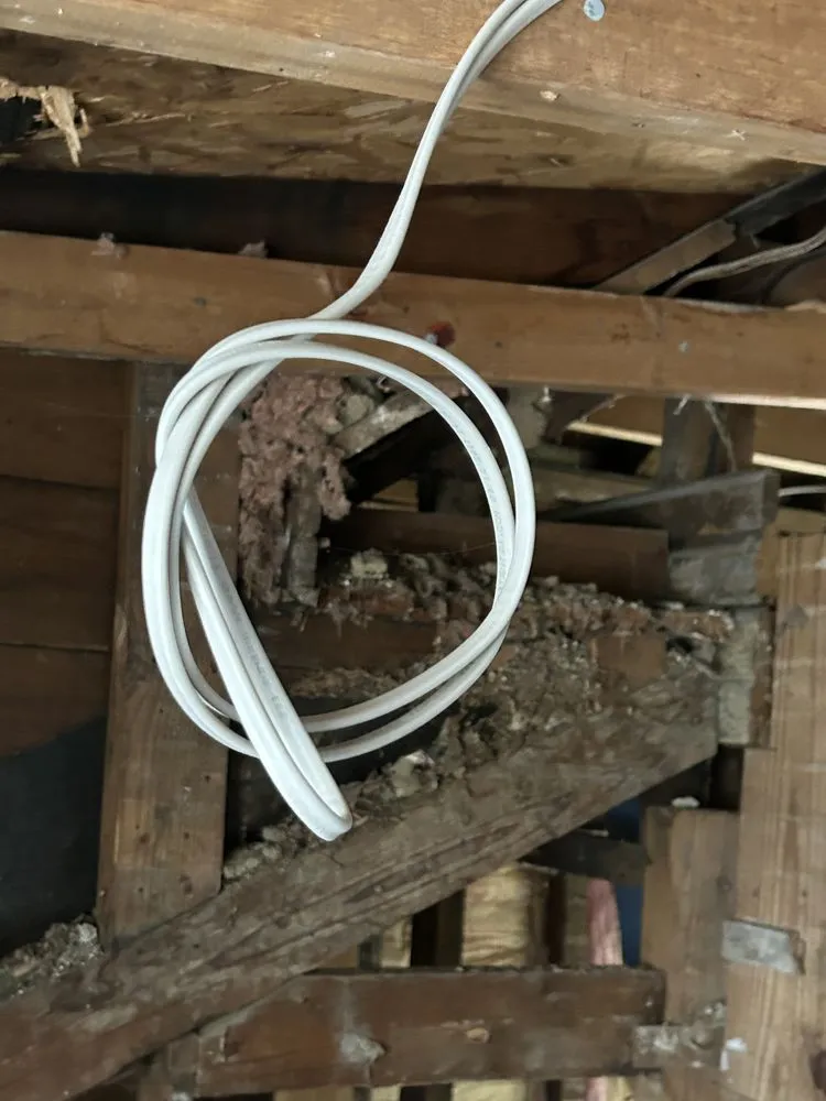 Emergency panel upgrade in , by Kiko Electrical Problems