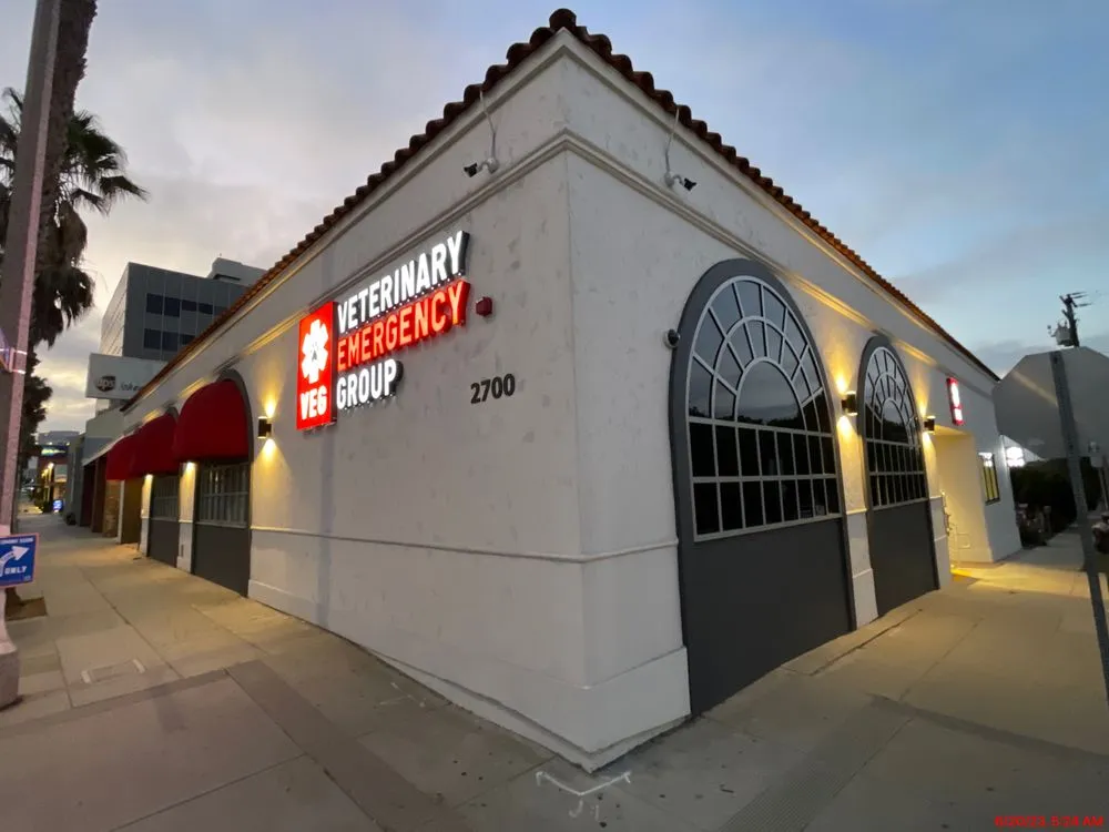 Slide of Kinetic Electric