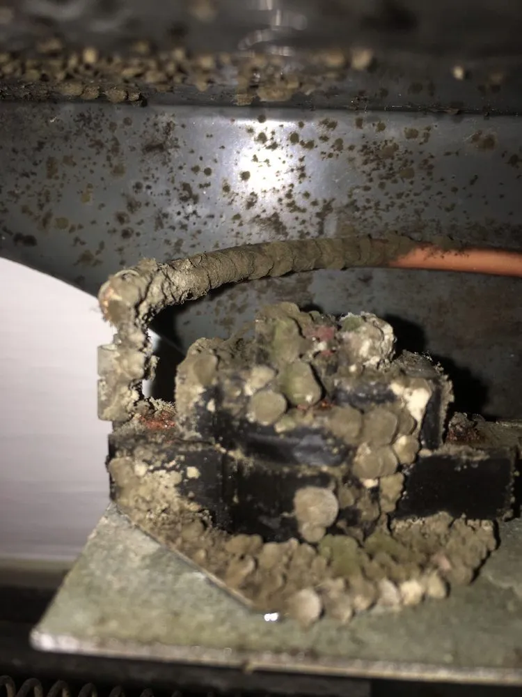 Slide of Kinfolk Troubleshooting