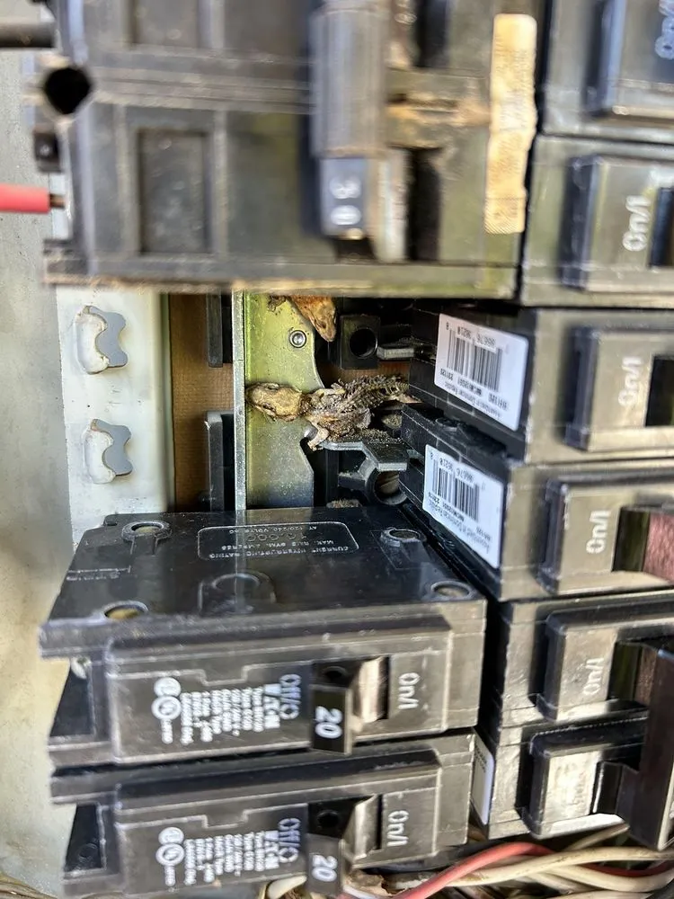 Slide of King Trades Electric