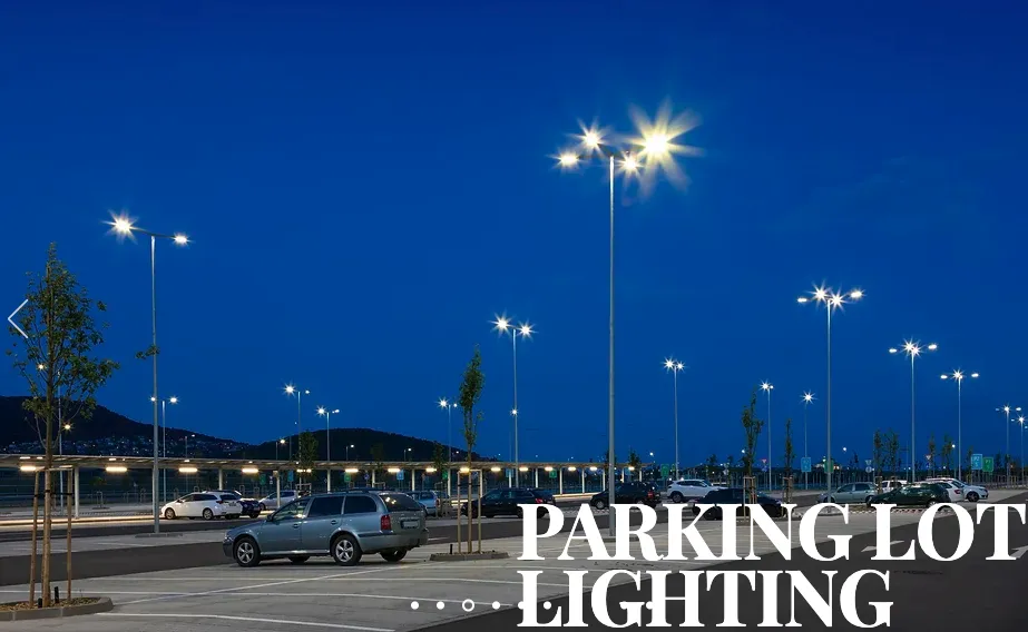 Slide of Kingdom Electric