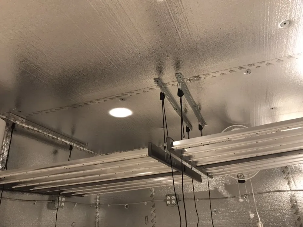 Affordable lighting installation in ,  by Kings Electric