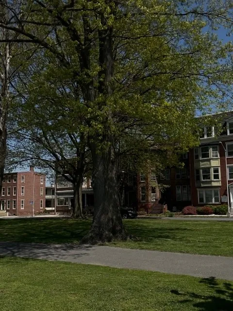 Slide of King's Electrical Services