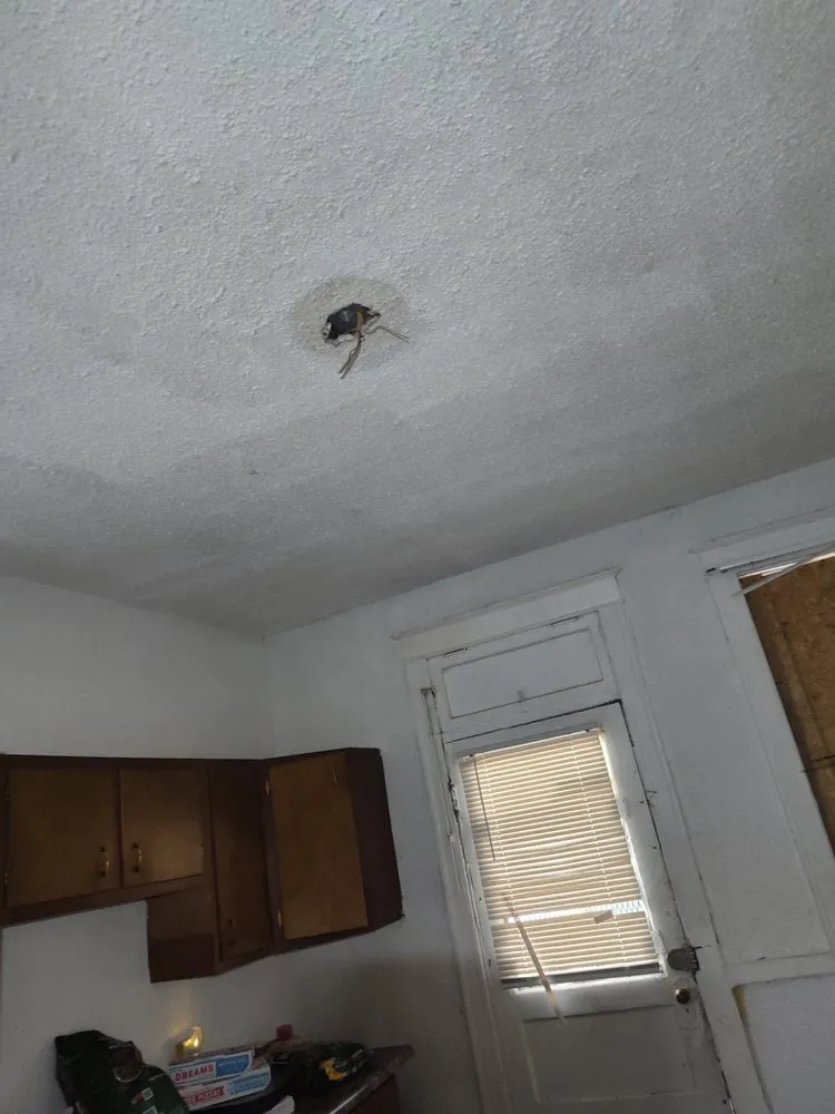 Emergency wiring installation in St. Louis, MO by Kings Family Services