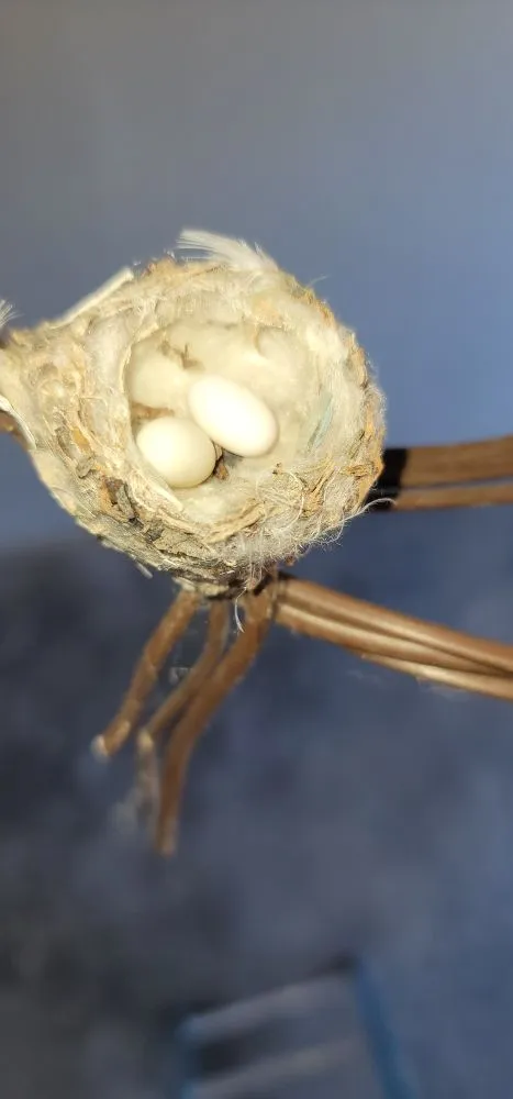 Reliable emergency electrical service service in ,  - Kingsley Electric